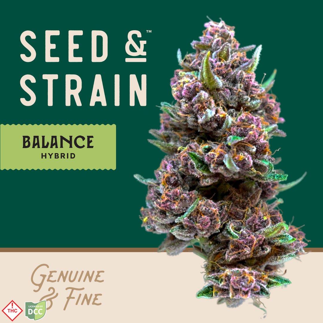 Seed & Strain - Forbidden Fruitcake - 28.3g