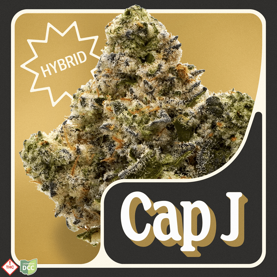 Cap J [2.83g]