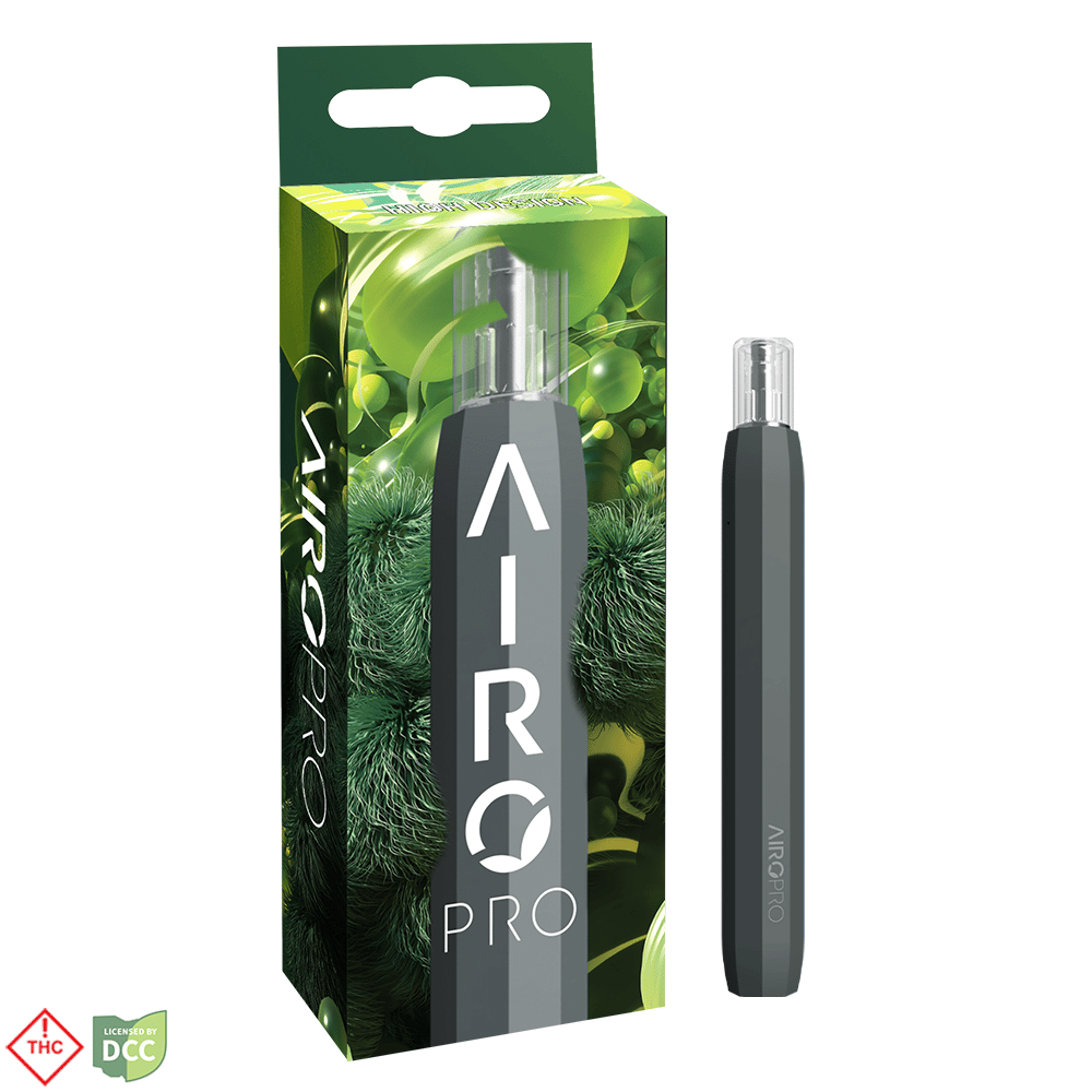 AiroPro Rechargeable Vaporizer - Slate