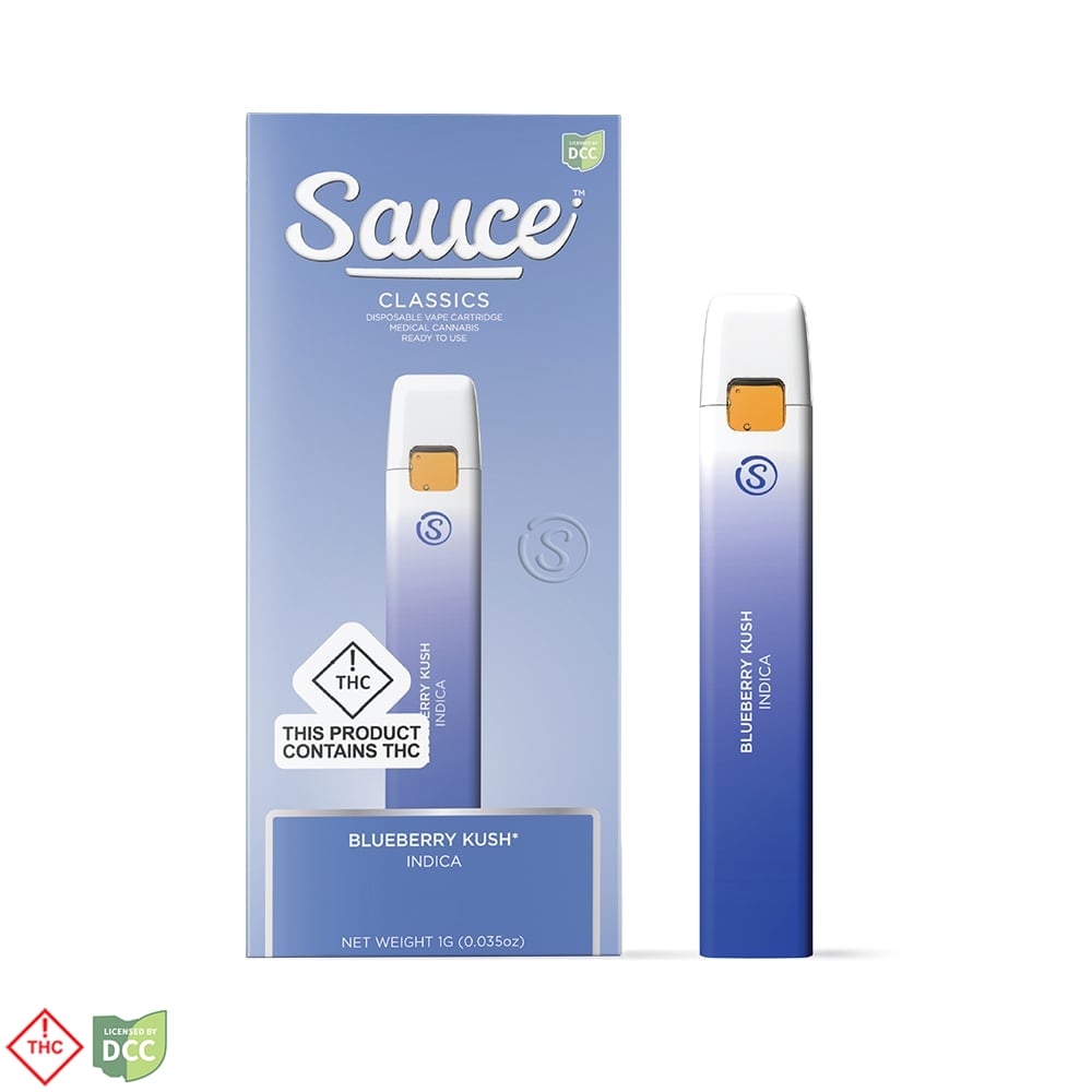 blueberry kush disposable vape &Shine – Orange Creamsicle – Disposable Vape – 2g - 2g by &Shine main image 1