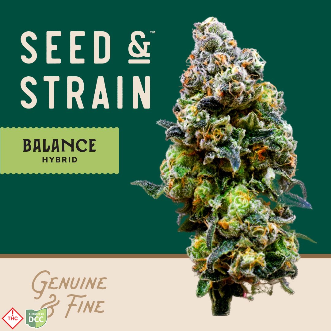 ラスト！激ヤバ実生選抜 【 Loop plants 005 】 検 冰雹 麻花龍 Shop The Botanist Akron Adult-Use Menu | THE BOTANIST