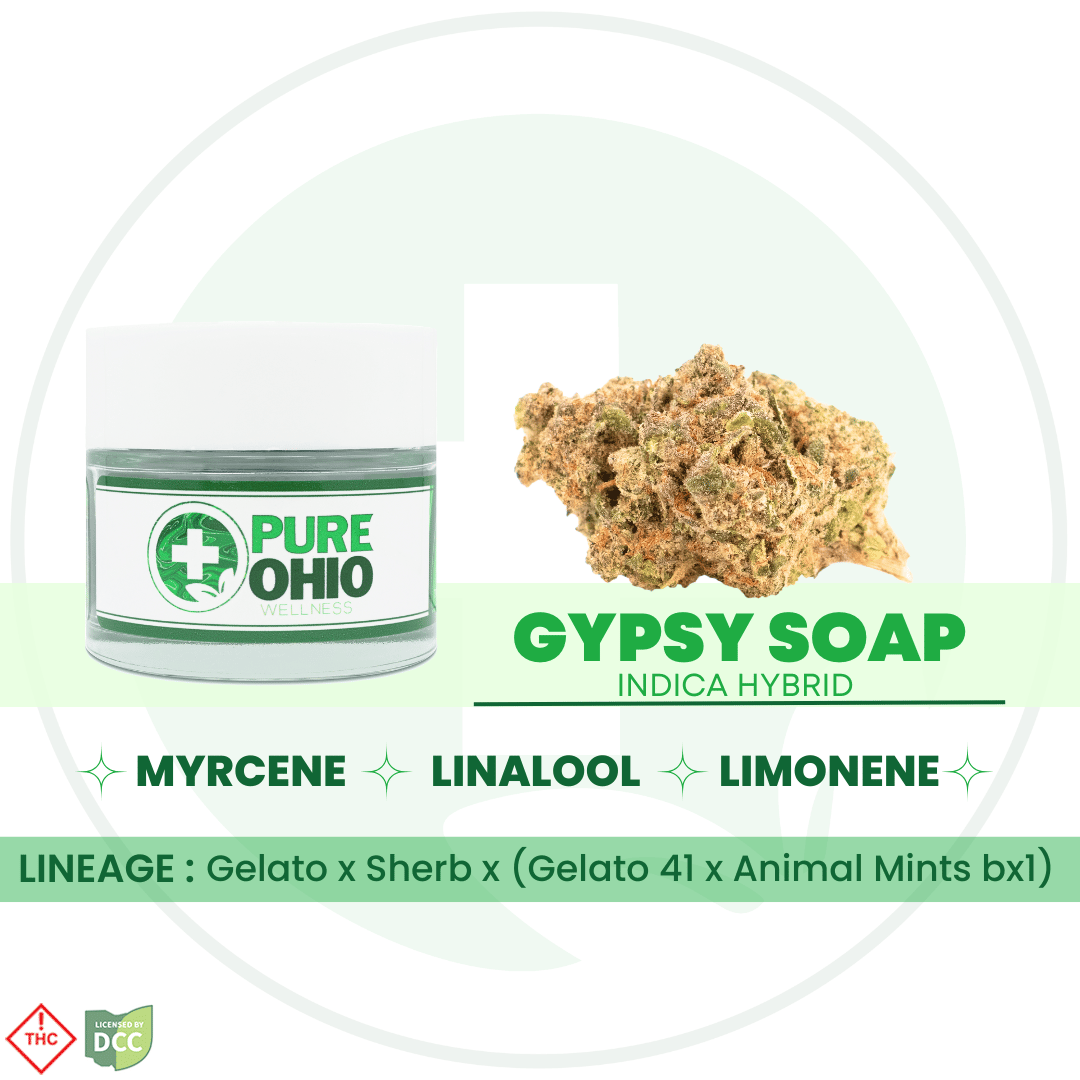 Gypsy Soap