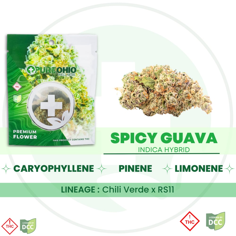 Shop Curacao [2.83g] | Herbal Wellness Center Columbus- Rec