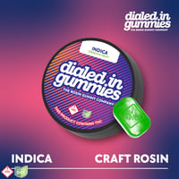 Dialed In - Dragonfruit Indica Gummies - 10ct - 100mg