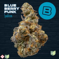 Blueberry Funk