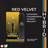 Shop Rainbow Belts 2.0 [1g] | BEYOND / HELLO - Cincinnati (MED