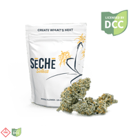 ぱち　　シンギュラリス50粒 Shop Super Yuzu [5.66g] | BEYOND / HELLO - Cincinnati (MED