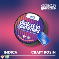 Dialed In - Blueberry Indica Gummies - 10ct - 100mg