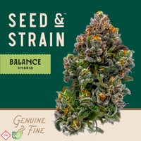 Shop The Botanist Akron Adult-Use Menu | THE BOTANIST