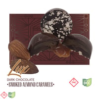 Shop Milk Chocolate [20pk] (100mg THC) | BEYOND / HELLO