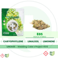 E85