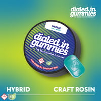 Dialed In - Hula Berry Hybrid Gummies - 10ct - 100mg