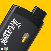 Strut - Sunday Brunch [2g]