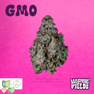 GMO