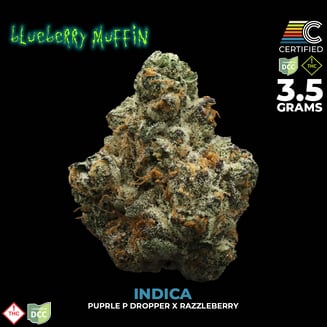 Blueberry Muffin #3