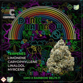 Dark Rainbow
