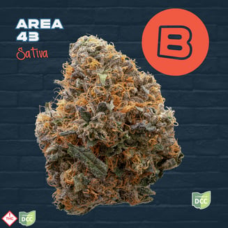 Area 43
