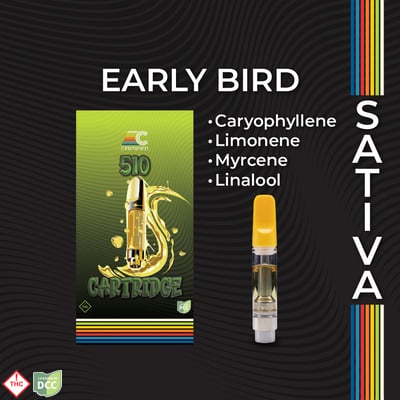 early bird tobacco Shop Early Bird | BEYOND / HELLO