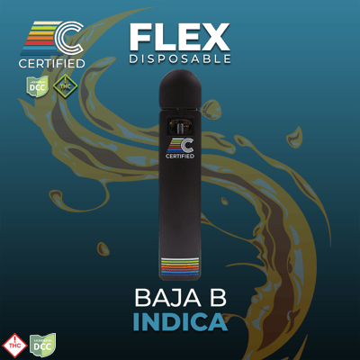 auto sound vape The 3 Best Portable Vaporizers of 2026