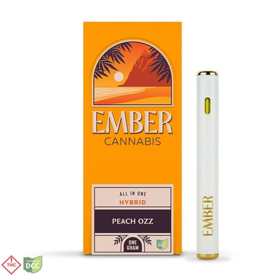solon tobacco & vape Garin warns public vs harmful effects from using Bold Tobacco Salt E-Juice by