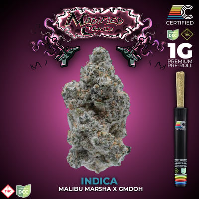 Shop Modified Cookies [1g] | BEYOND / HELLO