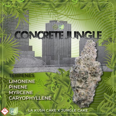 Shop Concrete Jungle [2.83g] | BEYOND / HELLO - Parma, OH (Med