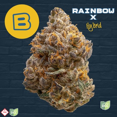 Shop Rainbow X [2.83g] | BEYOND / HELLO - Oxford (REC) Dispensary