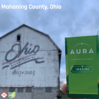 Shop OG Tahoe Entourage Disposable Vape (1-Day) [1.0g] | BEYOND / HELLO -  Toledo (Med) Dispensary Toledo, OH