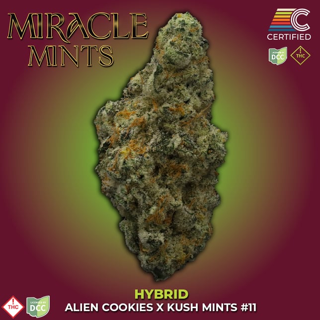 Miracle Mints - Image 3 Miracle Mints - Image 3