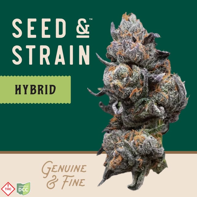 Seed & Strain - Lemon Cherry Saltz - 14.15g - Image 1 Seed & Strain - Lemon Cherry Saltz - 14.15g - Image 1