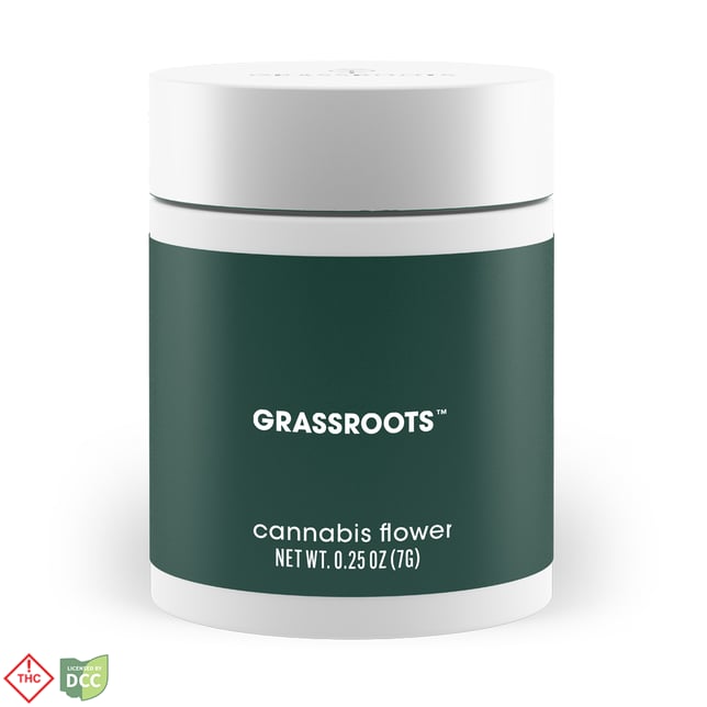 Motor Head - Image 2