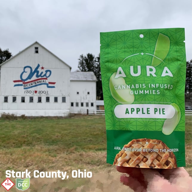 Apple Pie +CBD Gummies (1-Day) 5CBD:1THC - Image 3