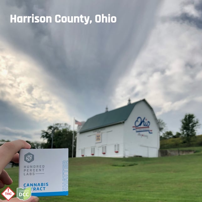 Cocomamba [2g] - Image 2