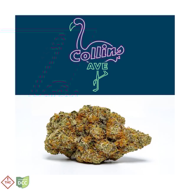 Collins Ave - Image 1 Collins Ave - Image 1