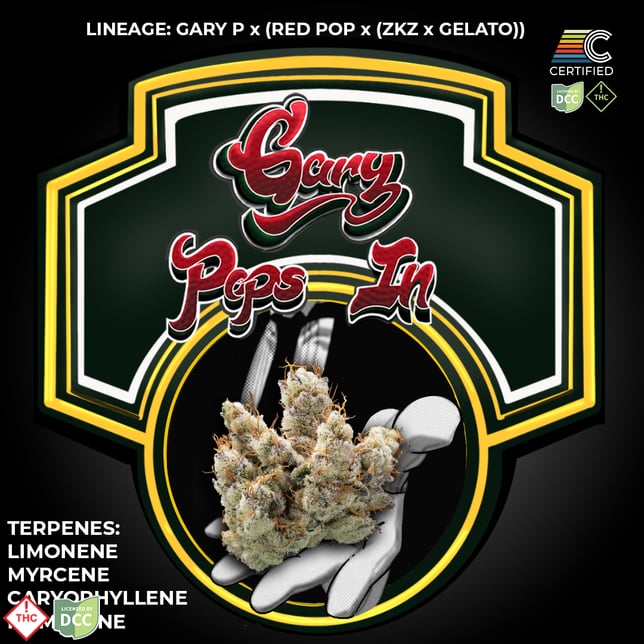Gary Pops In [1g] - Image 2