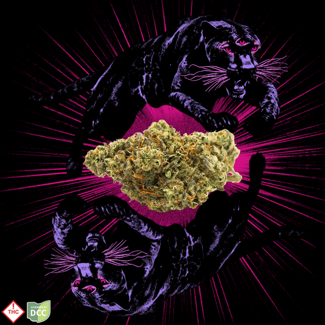 Animal Face [2.83g] - Image 2