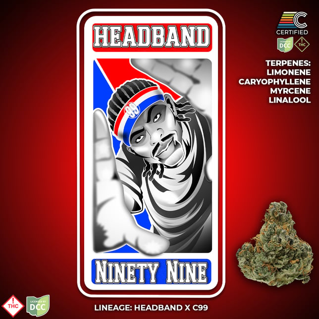 Headband 99 - Image 2