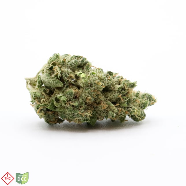 Notorious [2.83g] - Image 2