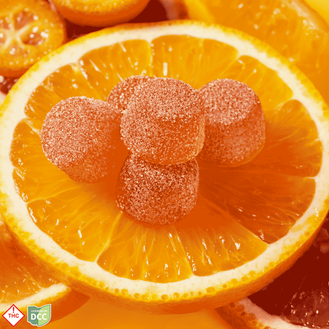 Glazed Clementine Orange [20pk] (100mg) - Image 2
