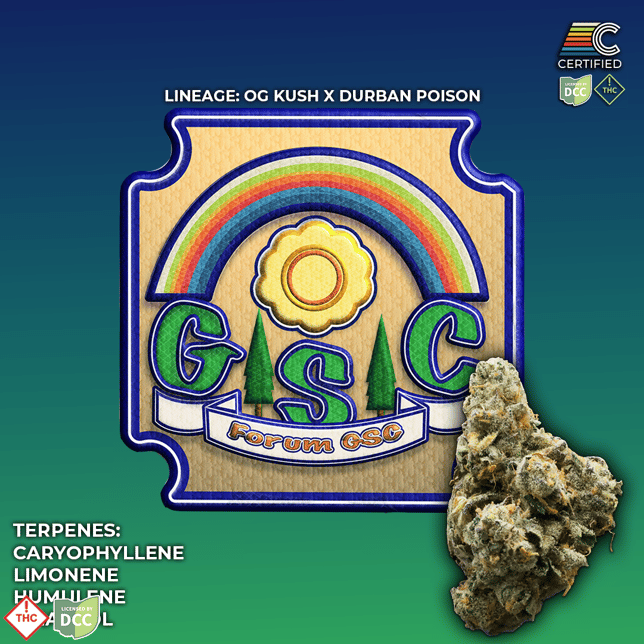 Forum GSC (3.5g) - Image 2