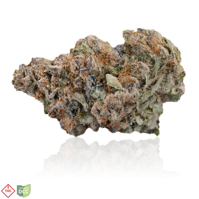 Indian Landrace - Image 2