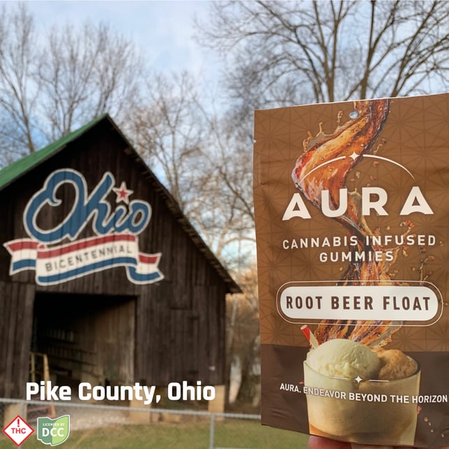 Root Beer Float +CBG Gummies (1-Day) - Image 3