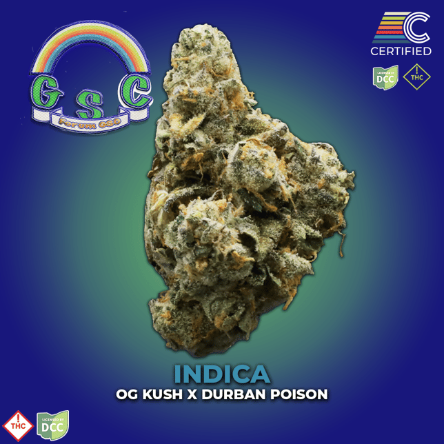 Forum GSC (3.5g) - Image 3
