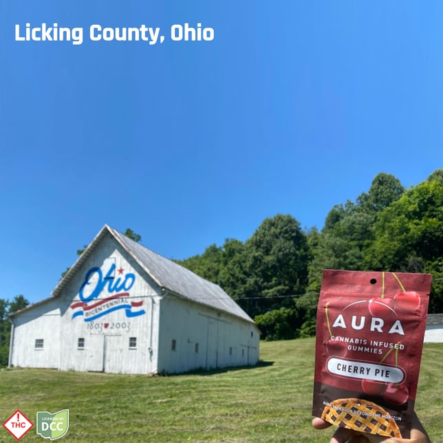 Cherry Pie +CBN Gummies (1-Day) - Image 3