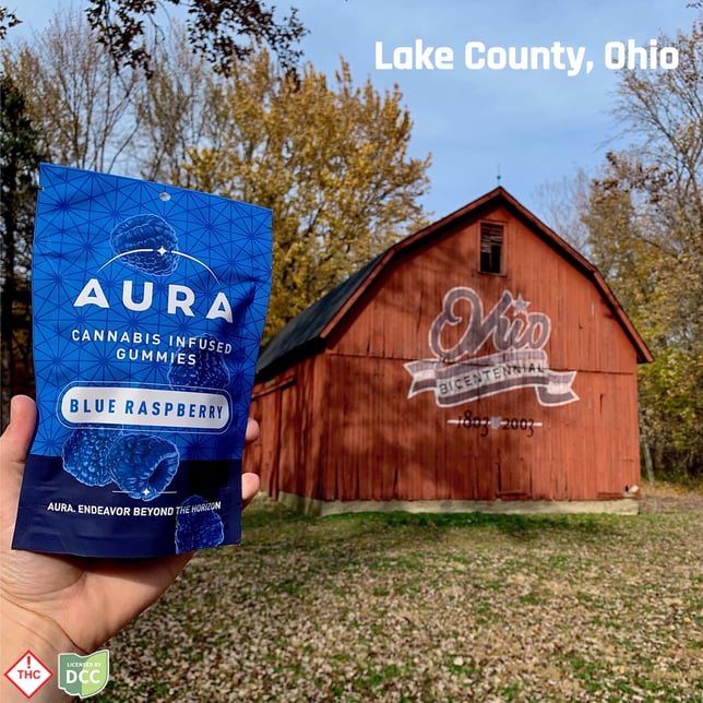 Blue Raspberry +CBN Gummies (10-Day) [24pk] (1100mg THC/250mg CBN) - Image 4