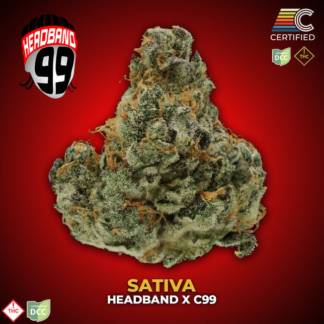 Headband 99 - Image 3