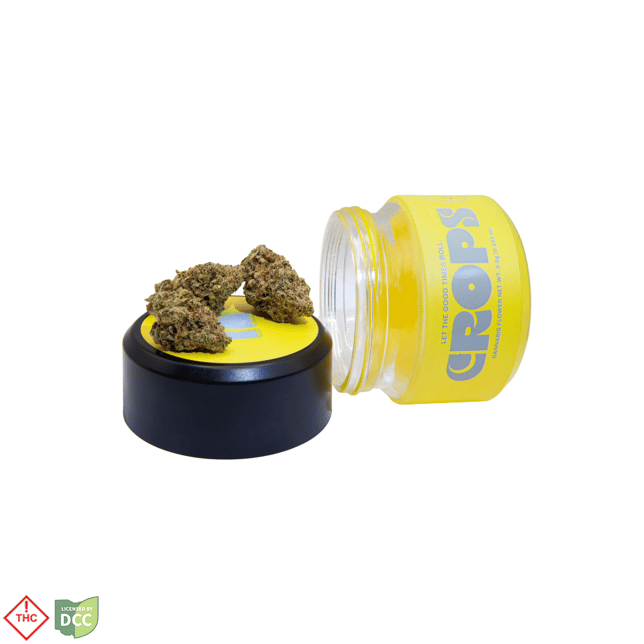 Gas Breath - Image 2 Gas Breath - Image 2