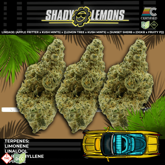 Shady Lemons - Image 2