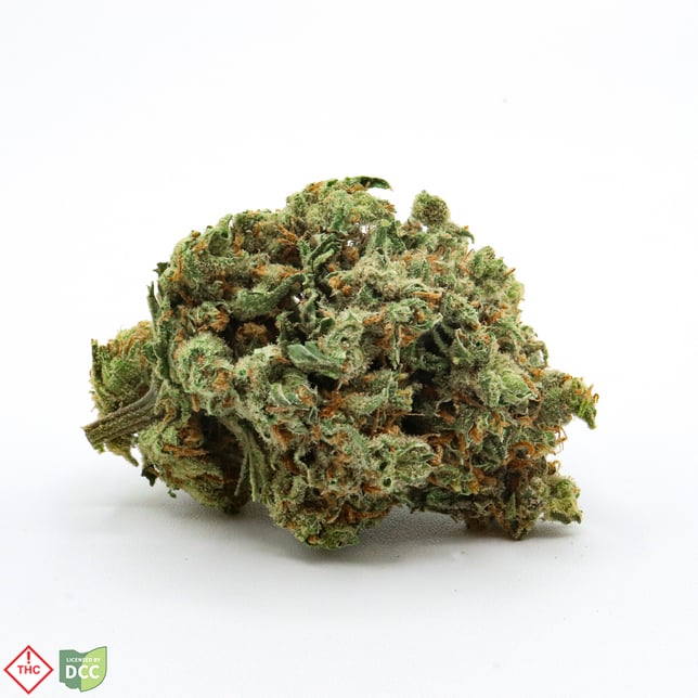 Black Jack [14.15g] - Image 2