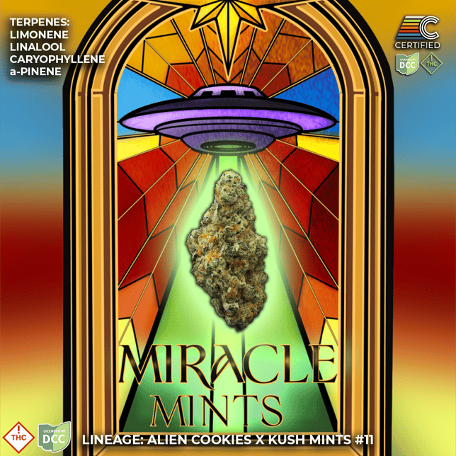 Miracle Mints - Image 2 Miracle Mints - Image 2